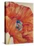 Tangerine Bloom 1-Linza Bouchet-Stretched Canvas