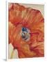 Tangerine Bloom 1-Linza Bouchet-Framed Art Print