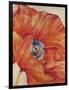 Tangerine Bloom 1-Linza Bouchet-Framed Art Print