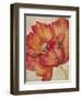 Tangerine Bloom 2-Linza Bouchet-Framed Art Print