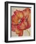 Tangerine Bloom 2-Linza Bouchet-Framed Art Print