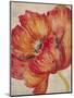 Tangerine Bloom 2-Linza Bouchet-Mounted Art Print