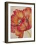 Tangerine Bloom 2-Linza Bouchet-Framed Art Print