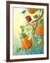 Tangerine Blossom-Dalliann-Framed Giclee Print