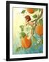 Tangerine Blossom-Dalliann-Framed Giclee Print