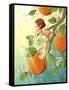 Tangerine Blossom-Dalliann-Framed Stretched Canvas