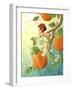 Tangerine Blossom-Dalliann-Framed Giclee Print