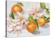 Tangerine Blossoms II-Melissa Wang-Stretched Canvas