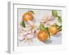 Tangerine Blossoms II-Melissa Wang-Framed Art Print