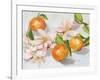 Tangerine Blossoms II-Melissa Wang-Framed Art Print