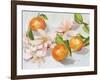 Tangerine Blossoms II-Melissa Wang-Framed Art Print