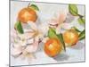 Tangerine Blossoms II-Melissa Wang-Mounted Art Print