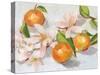 Tangerine Blossoms II-Melissa Wang-Stretched Canvas