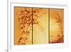 Tangerine Dawn-Fai Ryble-Framed Premium Giclee Print