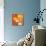 Tangerine Dream I-Margaret Ferry-Mounted Art Print displayed on a wall