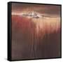 Tangerine Dreams-Terri Burris-Framed Stretched Canvas