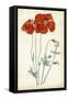 Tangerine Floral V-Curtis-Framed Stretched Canvas