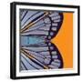 Tangerine Iris-Belen Mena-Framed Giclee Print