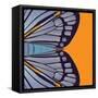 Tangerine Iris-Belen Mena-Framed Stretched Canvas
