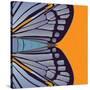 Tangerine Iris-Belen Mena-Stretched Canvas