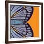 Tangerine Iris-Belen Mena-Framed Giclee Print