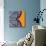 Tangerine Iris-Belen Mena-Mounted Giclee Print displayed on a wall