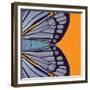 Tangerine Iris-Belen Mena-Framed Giclee Print