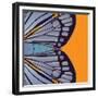 Tangerine Iris-Belen Mena-Framed Giclee Print