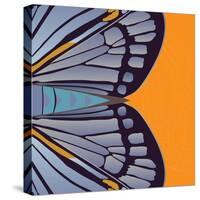 Tangerine Iris-Belen Mena-Stretched Canvas