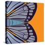 Tangerine Iris-Belen Mena-Stretched Canvas