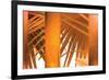 Tangerine-Andrew Michaels-Framed Photographic Print