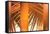 Tangerine-Andrew Michaels-Framed Stretched Canvas