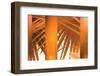 Tangerine-Andrew Michaels-Framed Photographic Print