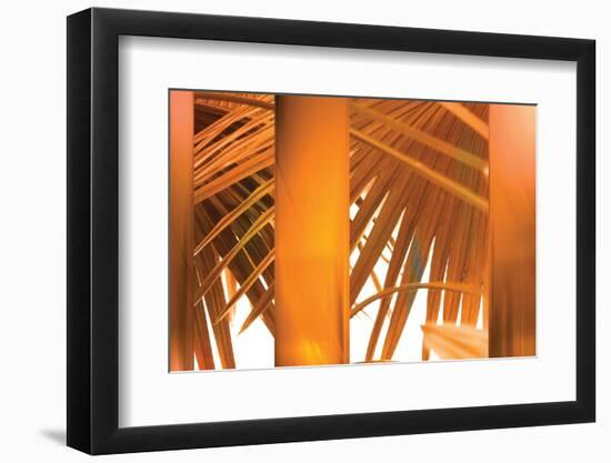 Tangerine-Andrew Michaels-Framed Photographic Print