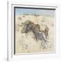 Tangier, 1887-Joseph Crawhall-Framed Giclee Print