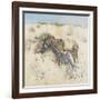 Tangier, 1887-Joseph Crawhall-Framed Giclee Print