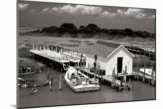 Tangier Island 2-Alan Hausenflock-Mounted Photographic Print