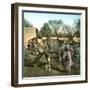 Tangier (Morocco), Camels at the Market (Soko), Circa 1885-Leon, Levy et Fils-Framed Photographic Print