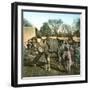 Tangier (Morocco), Camels at the Market (Soko), Circa 1885-Leon, Levy et Fils-Framed Photographic Print