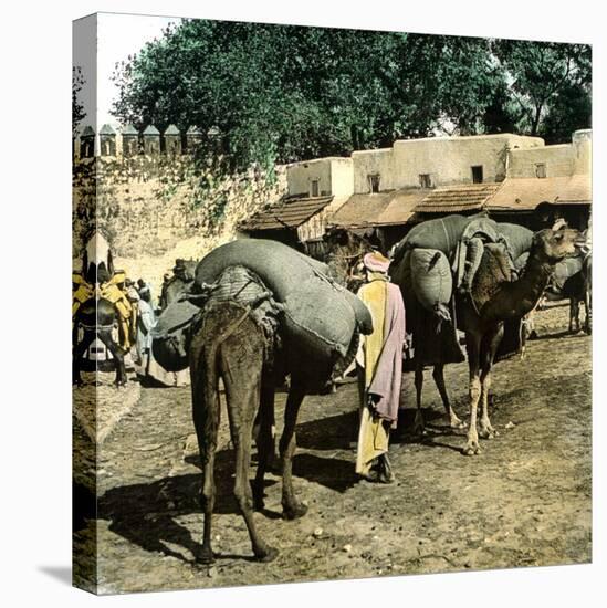 Tangier (Morocco), Camels at the Market (Soko), Circa 1885-Leon, Levy et Fils-Stretched Canvas