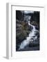 Tangle Creek Falls-Belinda Shi-Framed Photographic Print