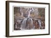 Tangle Falls II-Donald Paulson-Framed Giclee Print