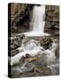 Tangle Falls, Jasper National Park, UNESCO World Heritage Site, Rocky Mountains, Alberta, Canada-James Hager-Stretched Canvas