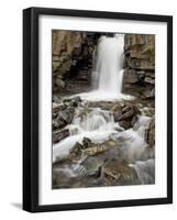 Tangle Falls, Jasper National Park, UNESCO World Heritage Site, Rocky Mountains, Alberta, Canada-James Hager-Framed Photographic Print