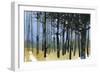 Tangle Knot Wood-Paul Bailey-Framed Art Print