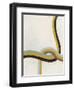 Tangle VII-Erica J. Vess-Framed Art Print