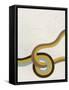 Tangle VIII-Erica J. Vess-Framed Stretched Canvas