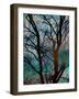 Tangled in Turquoise-Doug Chinnery-Framed Photographic Print