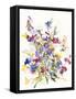 Tangled Pansies-Karin Johannesson-Framed Stretched Canvas