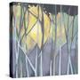 Tangled Twilight I-Grace Popp-Stretched Canvas